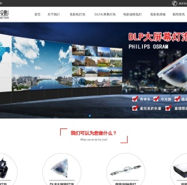 投影机灯泡