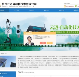 防爆电子吊秤