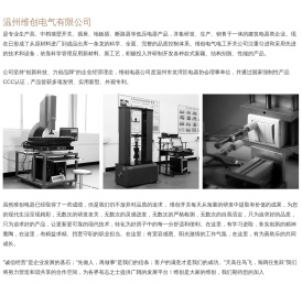 温州维创电气有限公司