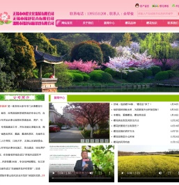 樱花品种,樱花种苗,锡舒花卉,中樱文化发展有限公司
