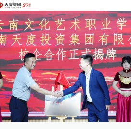 云南天度投资集团有限公司