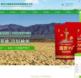 美粮国际