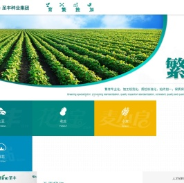 山东圣丰种业科技有限公司