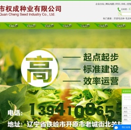 开原毛豆种