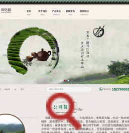 狗牯脑茶叶