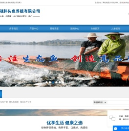 湖北胖头鱼批发厂家