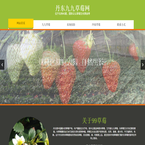 丹东99草莓网
