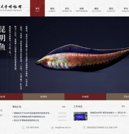 西北大学博物馆