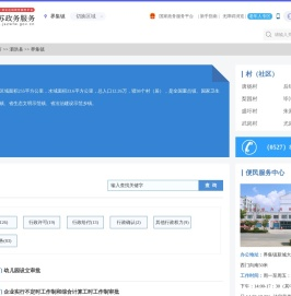 界集镇政务服务网