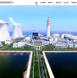 天津国投津能发电有限公司