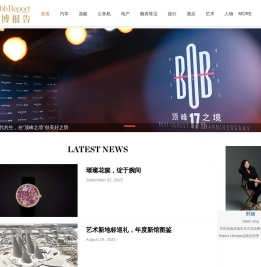 罗博报告Robb
