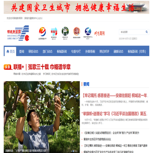 桐城新闻网