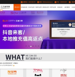 三文鱼电商帮你忙分公司