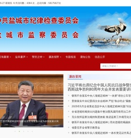 盐城市纪委监委