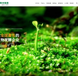 阜丰集团