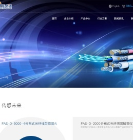光纤光栅阵列监测系统（WFBG）