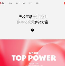 上海网站建设公司