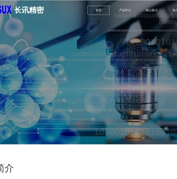 东莞市长讯精密技术有限公司