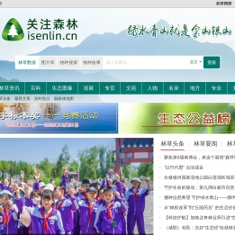 关注森林
