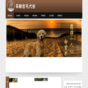 辛柳金毛犬舍