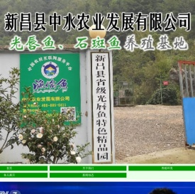 石斑鱼,光唇鱼养殖基地