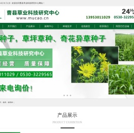 牧草种子