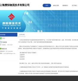 公司网站