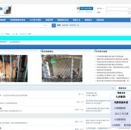 宠物领养