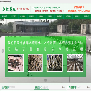 水蛭养殖,水蛭养殖技术,水蛭养殖有限公司