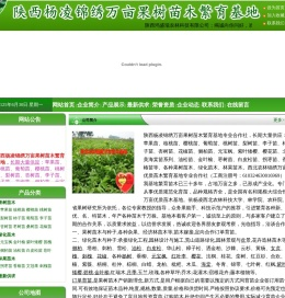 陕西苹果苗,陕西核桃苗,陕西樱桃苗,陕西葡萄苗,陕西桃树苗,陕西花椒苗