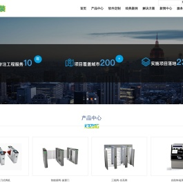 软件定制