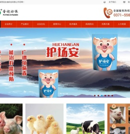 普迎动保