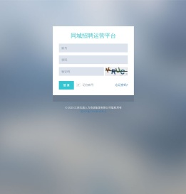同城招聘运营平台