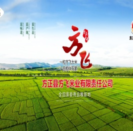 方正县方飞米业有限公司官网,方正大米,龙江财源稻,方飞米业