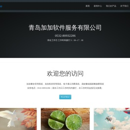 青岛加加软件服务有限公司