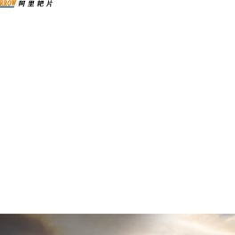山东禹城阿里耙片有限公司