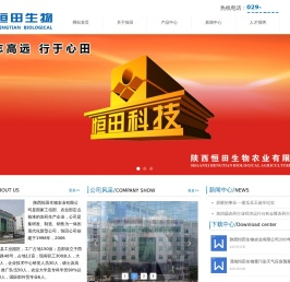 网站首页