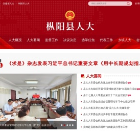 枞阳县人大