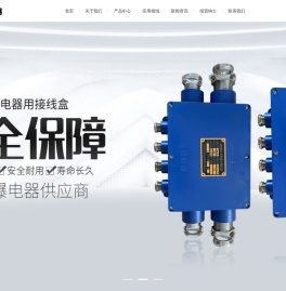 防爆接线盒