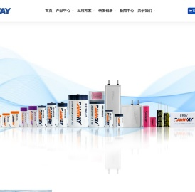广西睿奕新能源股份有限公司