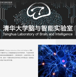 清华大学脑与智能实验室