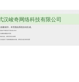 武汉网站建设