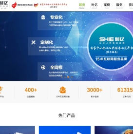 时亿网络