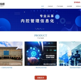 正成内控