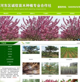 北美海棠芽苗,北美海棠根接苗,北美海棠,西府海棠,冬红海棠,木瓜海棠,垂丝海棠,皇家雨点