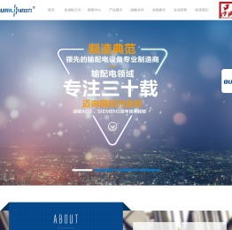 浙江欧日力电气有限公司