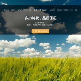 软件开发