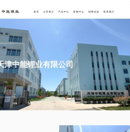 天津中能锂业有限公司