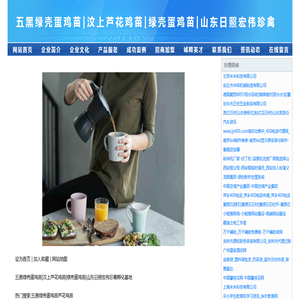 五黑绿壳蛋鸡苗