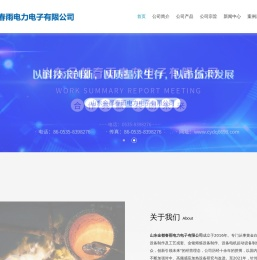 山东金都春雨电力电子有限公司